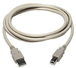CABLE USB A-B M/M 15FT IVORY