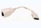 ETHERNET ADAPTER RJ45-15F PCMCIA 10/100 MBPS BEIGE